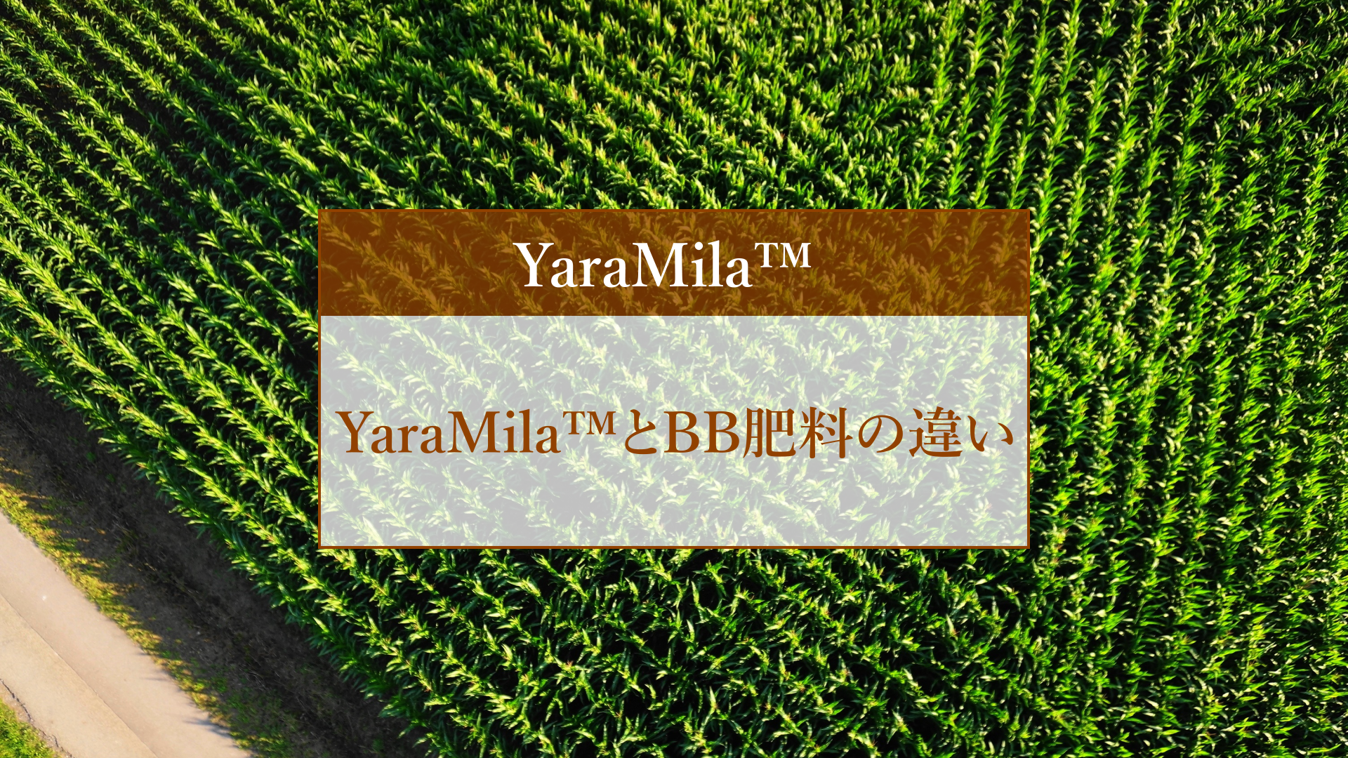 YaraMila™とBB肥料の違い