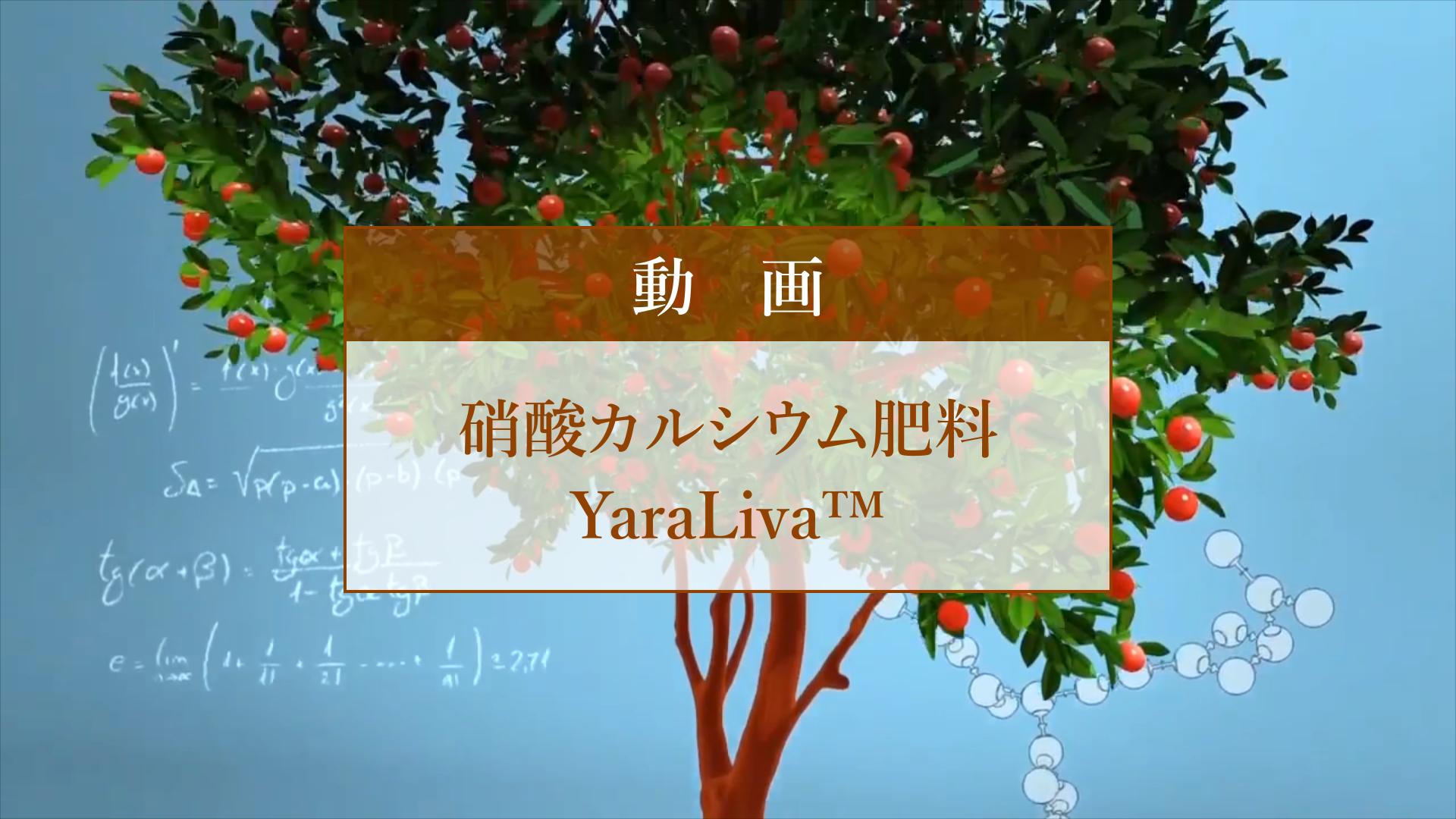 硝酸カルシウム肥料 Yaraliva 紹介動画 Grwrs