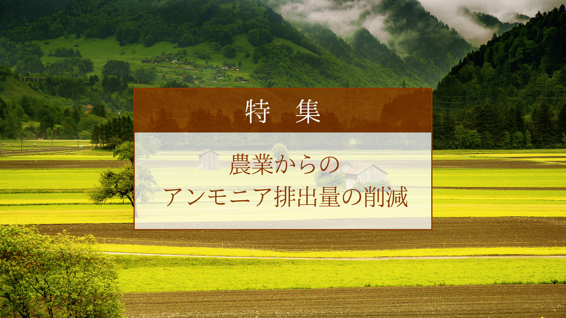 農業からのアンモニア排出量の削減 | GRWRS